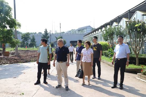 说明:F:\全迅白菜新闻稿和照片\2021年新闻稿及照片\7月13日到市园林科研院交流座谈照片\IMG_0610.JPG