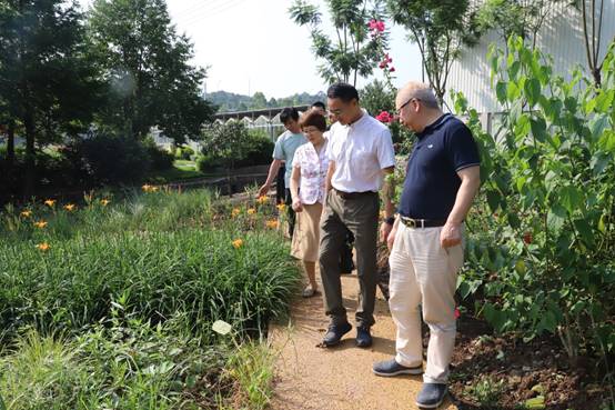 说明:F:\全迅白菜新闻稿和照片\2021年新闻稿及照片\7月13日到市园林科研院交流座谈照片\IMG_0615.JPG
